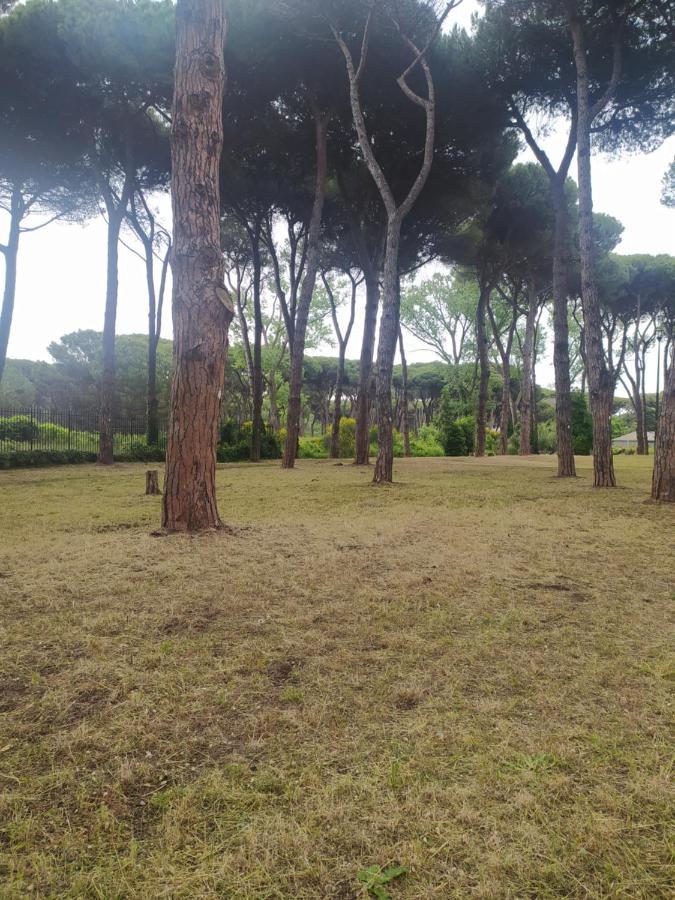 Apartamento Attico Con Terrazza In Via Dei Traghetti Lido di Ostia Exterior foto